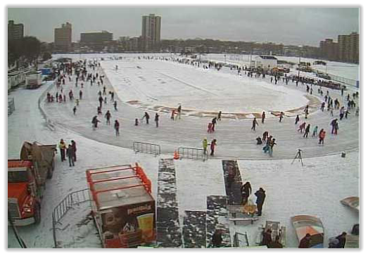 Halifax Oval Webcam